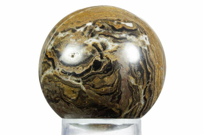 Polished Stromatolite (Greysonia) Sphere - Bolivia #355379